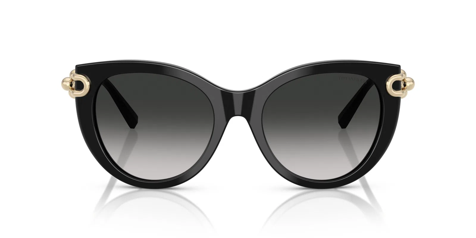 Tiffany 4232F Sunglasses - view 17